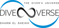 Diverse Logo